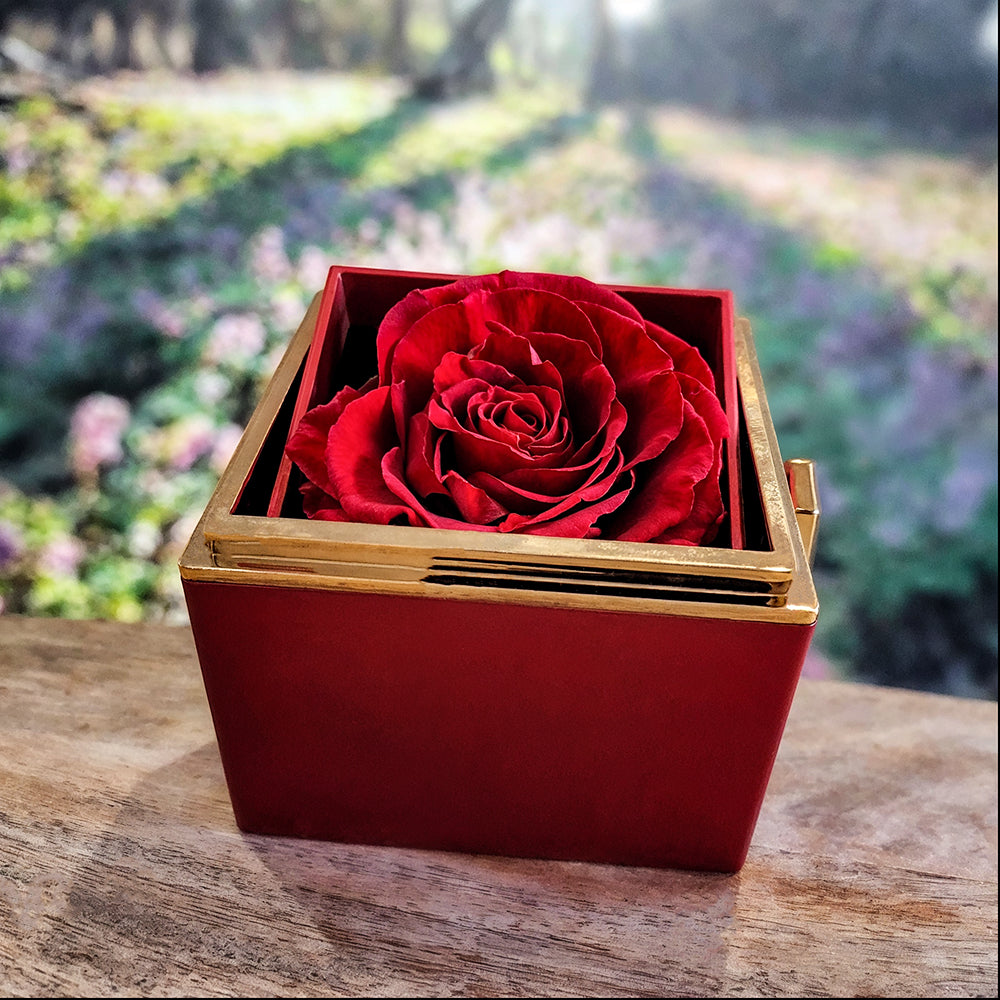 I'm Sorry Gifts For Her - Love Knot with Rotating Rose Gift Box