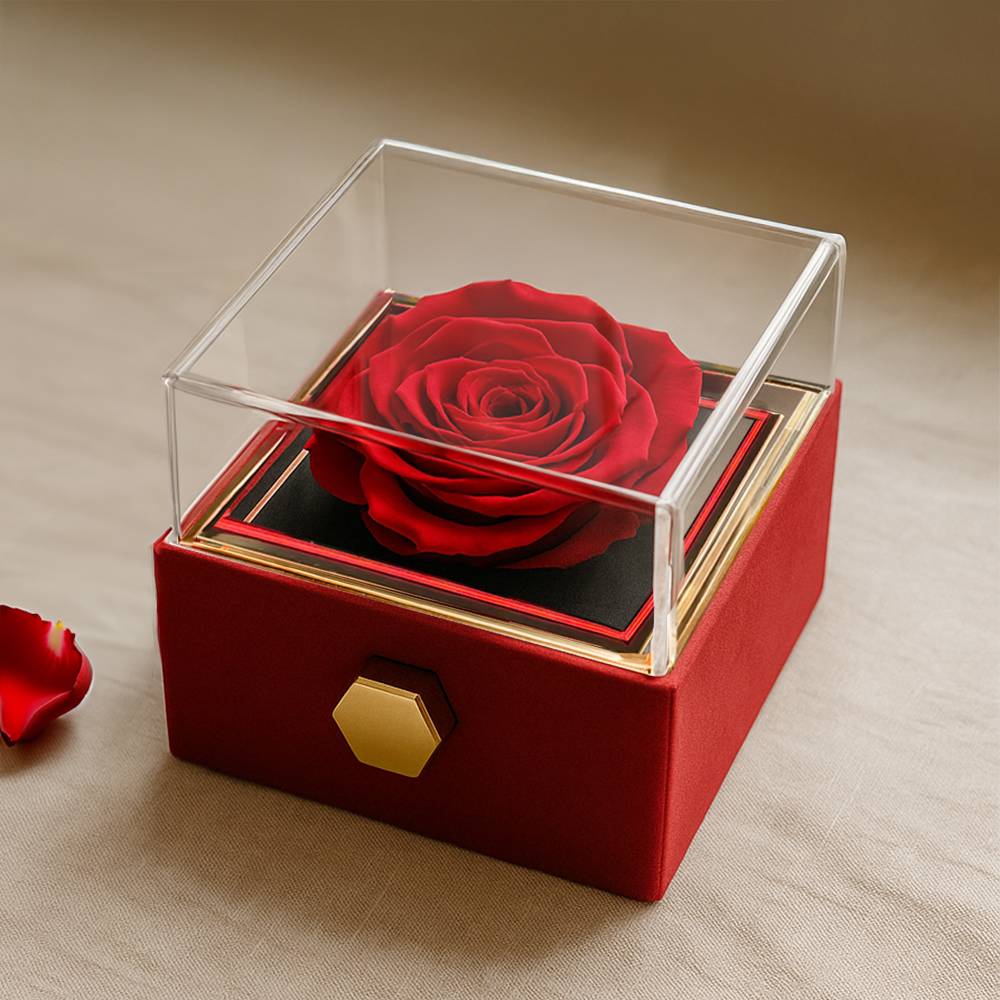 Chapters Squeezed Name - Daughter Birthday Necklace with Rose Box