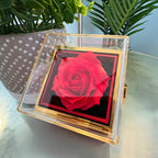 Braver Name - Daughter Birthday Necklace with Rose Box